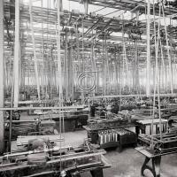 Interno dello stabilimento. Reparto canne