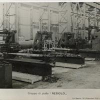 Rep C - Gruppo di pialle "Nebiolo"