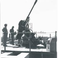 Militari con mitragliera sul tetto della palazzina della direzione (2)